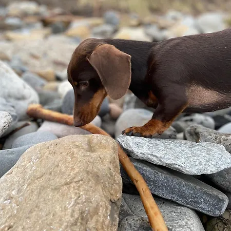 Crabapple Close To Runswick Bay & Staithes Hébergement de vacances Hinderwell